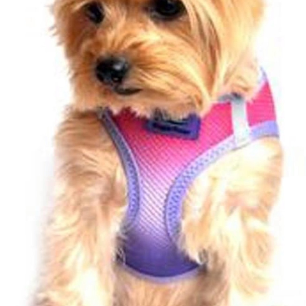 HOST PICK 🥳 Pink and Purple Dog Harness by American River NEW